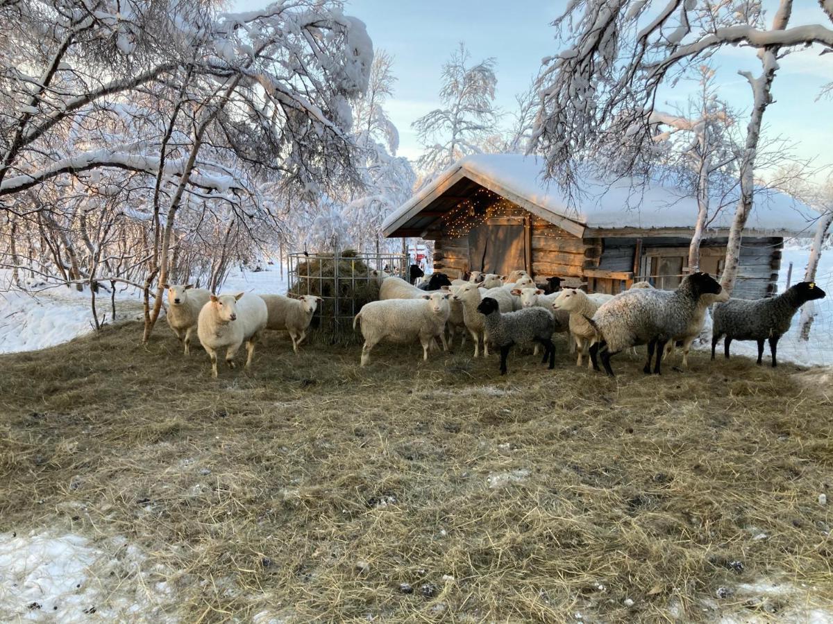 Kuttainen Lodge Karesuando Dış mekan fotoğraf